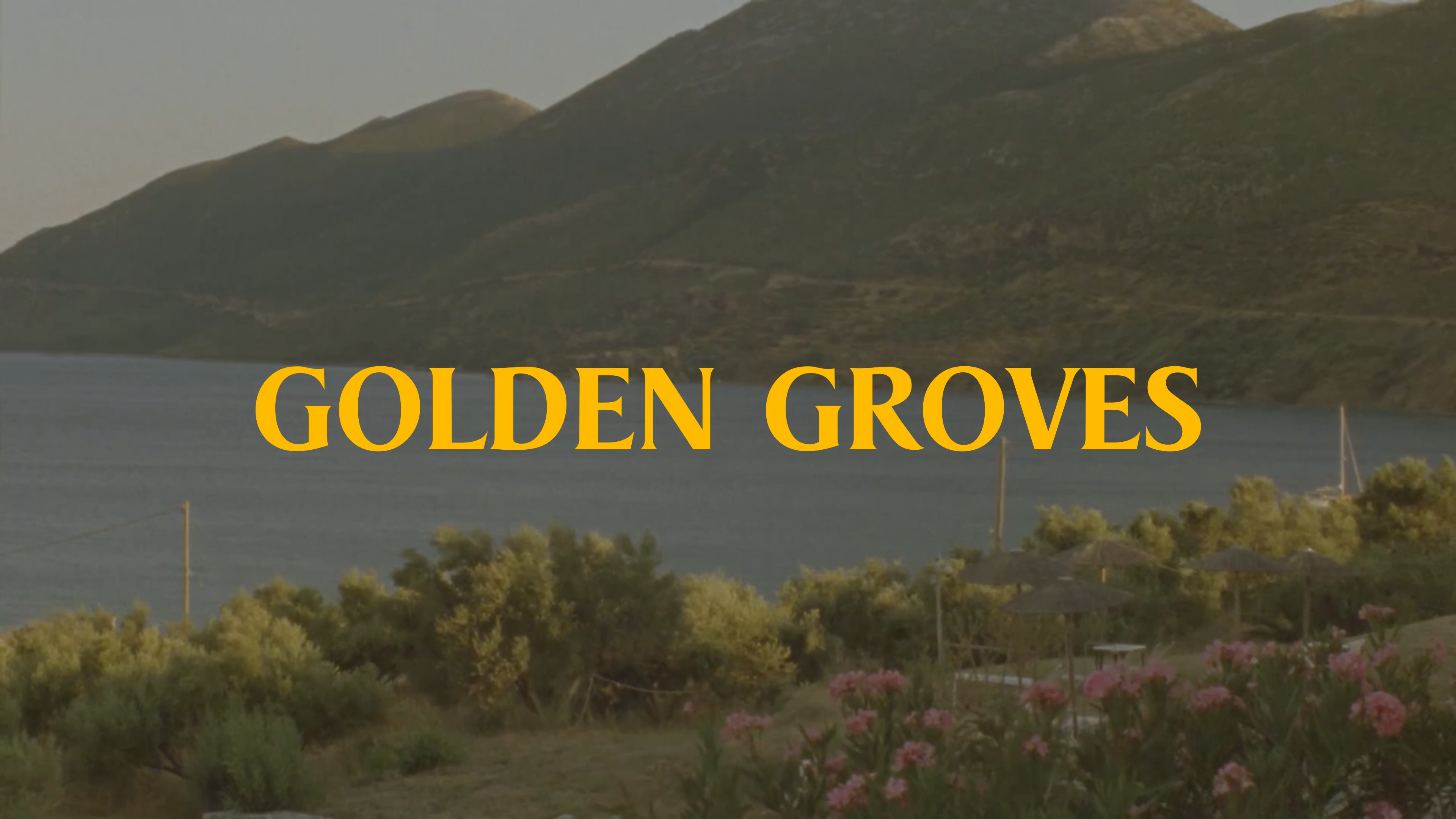 Golden Groves Co - Organic Extra Virgin Olive Oil 3L