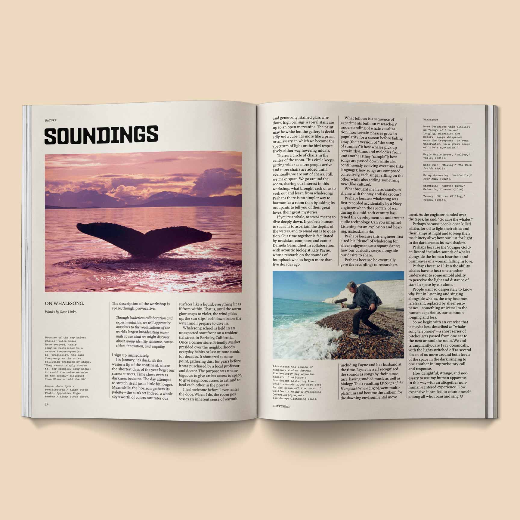 BROCCOLI MAGAZINE - Heartbeat Magazine: Music, Sound, Emotion