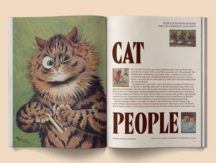 BROCCOLI MAGAZINE - Catnip Magazine - Volume 2