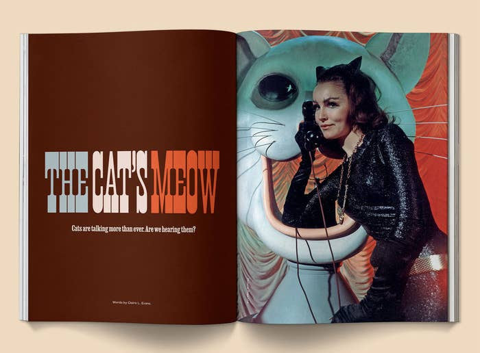 BROCCOLI MAGAZINE - Catnip Magazine - Volume 2