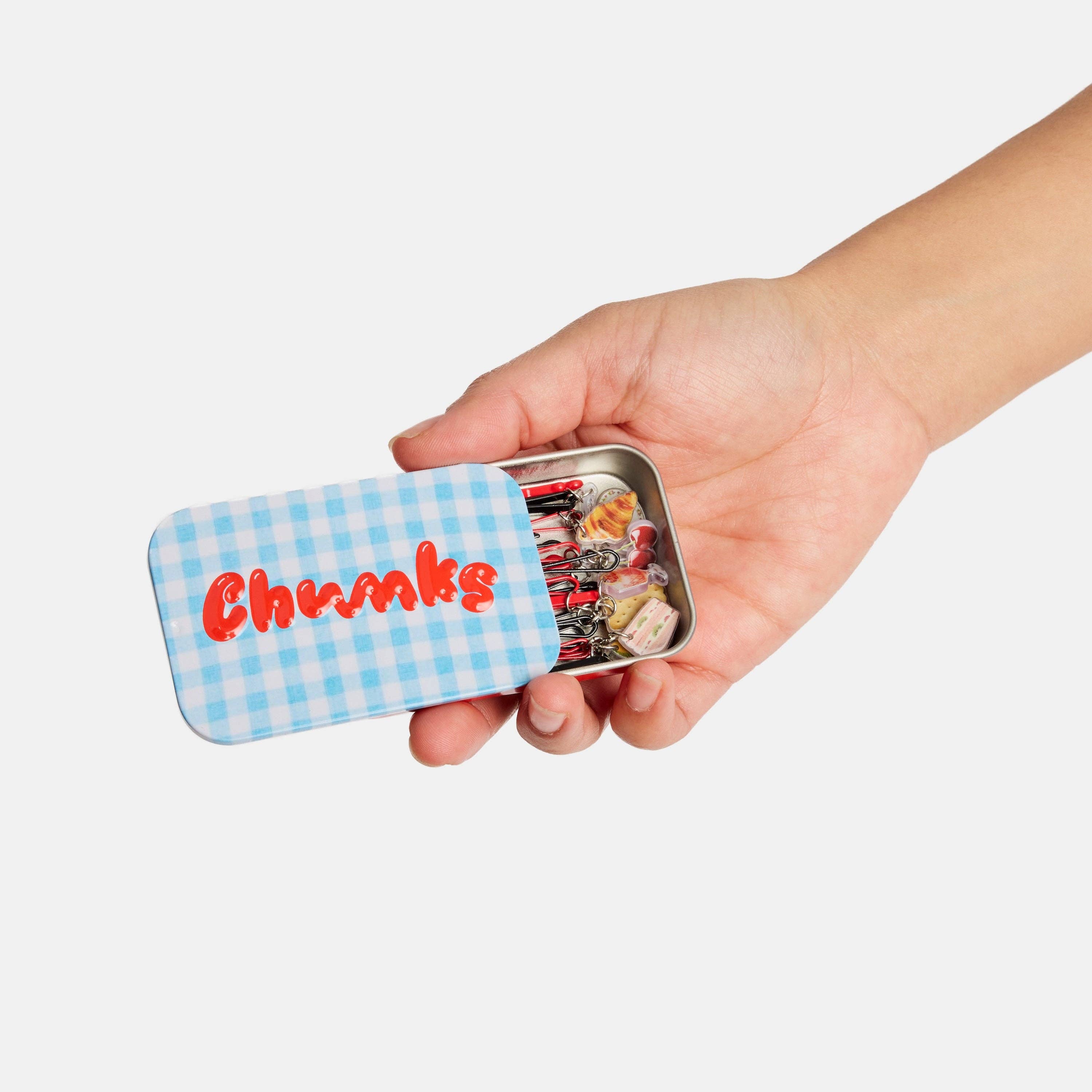 CHUNKS - Picnic Bobby Pins
