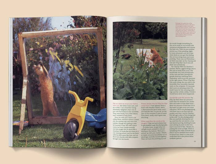 BROCCOLI MAGAZINE - Catnip Magazine - Volume 2