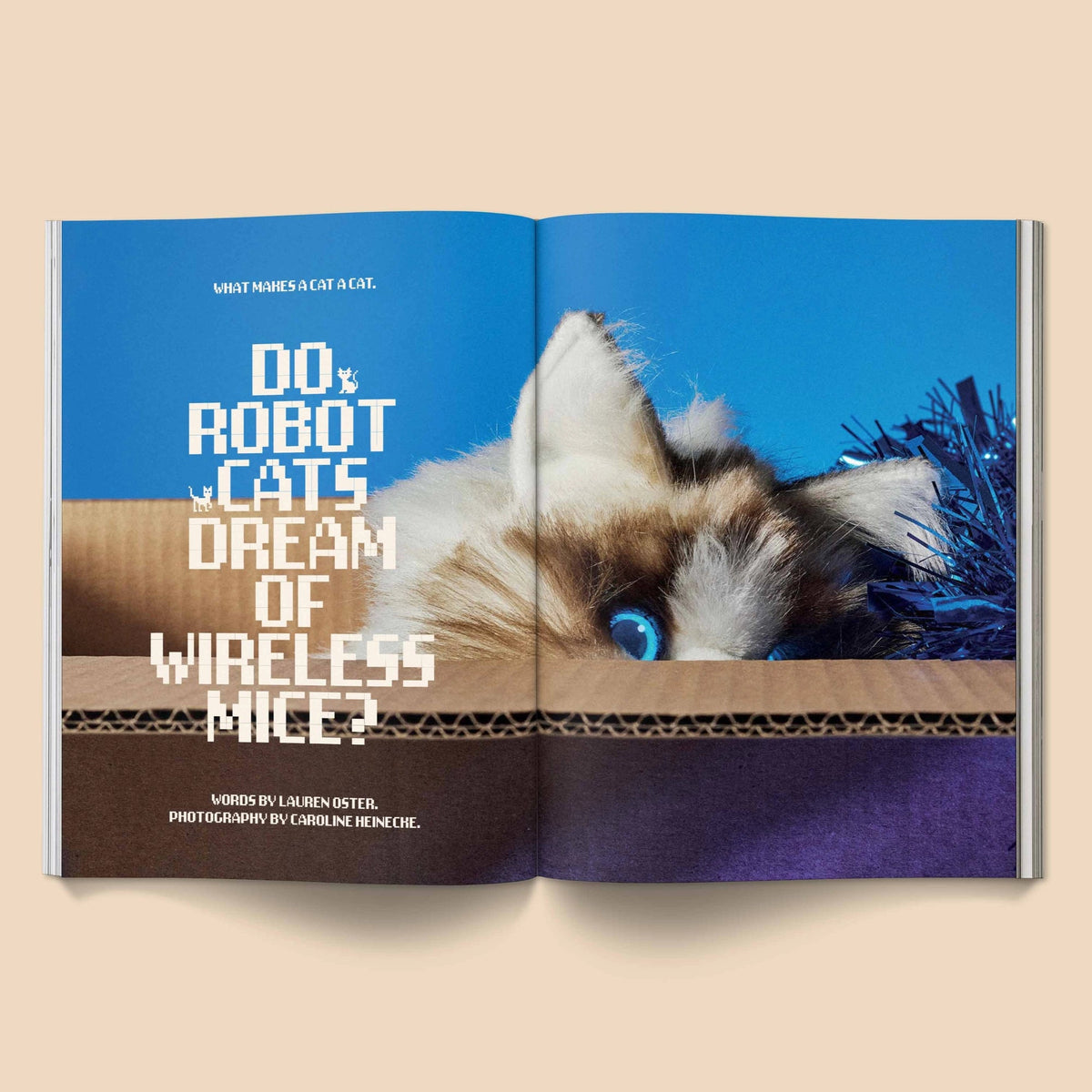 BROCCOLI MAGAZINE - Catnip Magazine