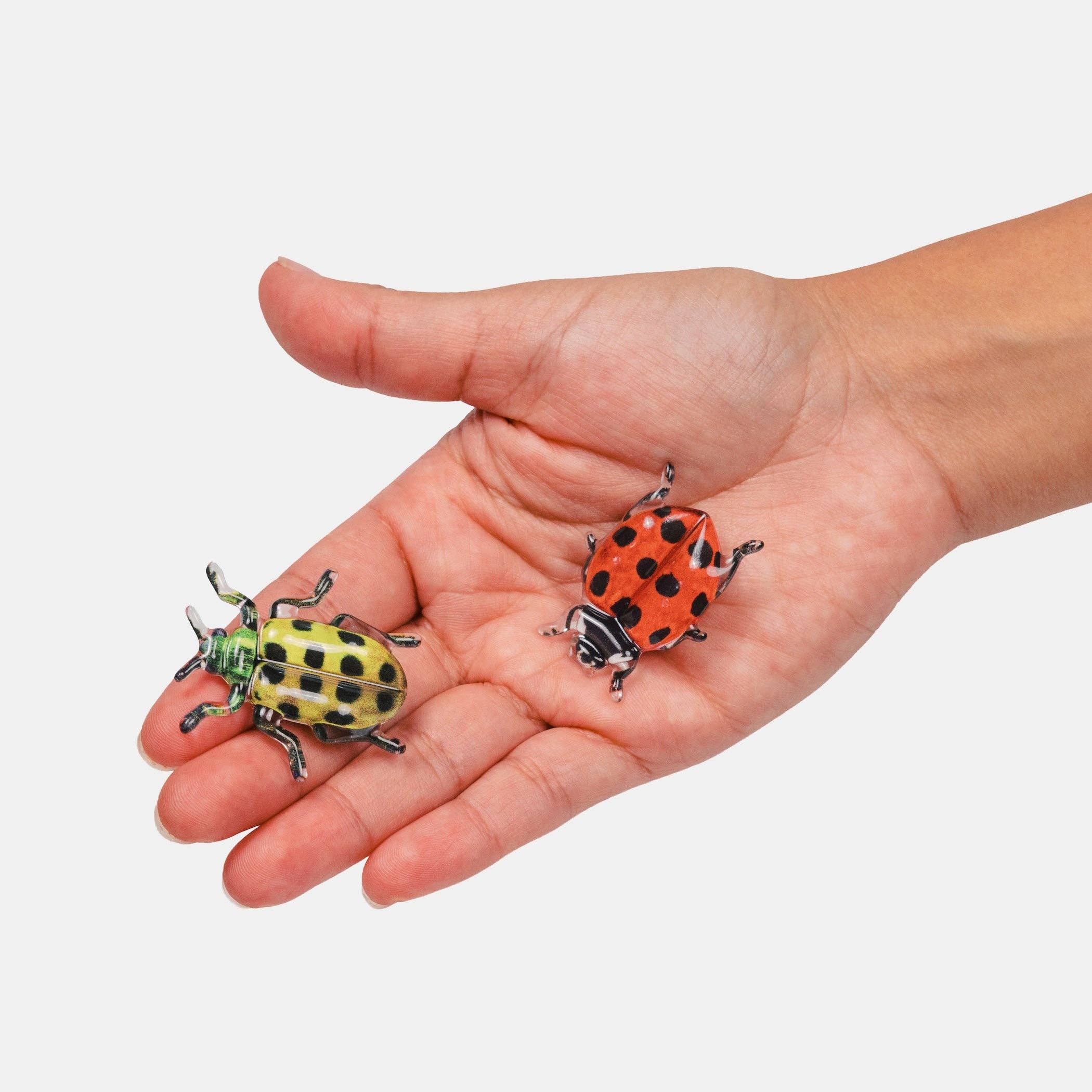 CHUNKS - Allie Clips in Spotted Crawlers