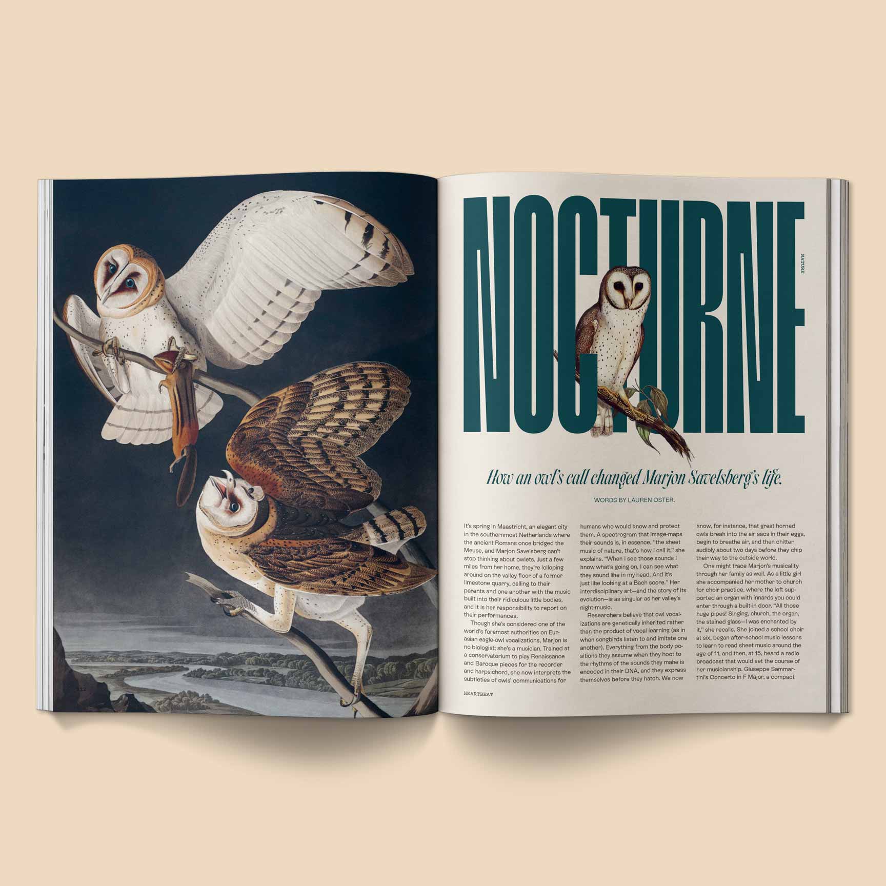 BROCCOLI MAGAZINE - Heartbeat Magazine: Music, Sound, Emotion